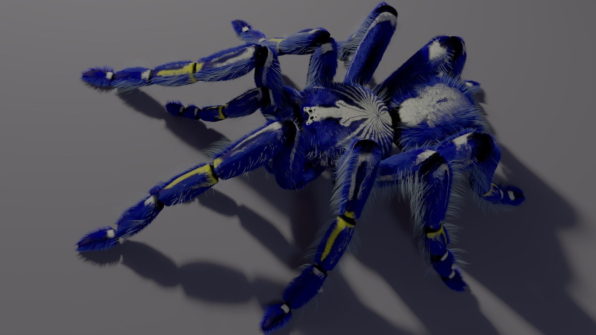Freaky blue spider Low-poly 3D model_1