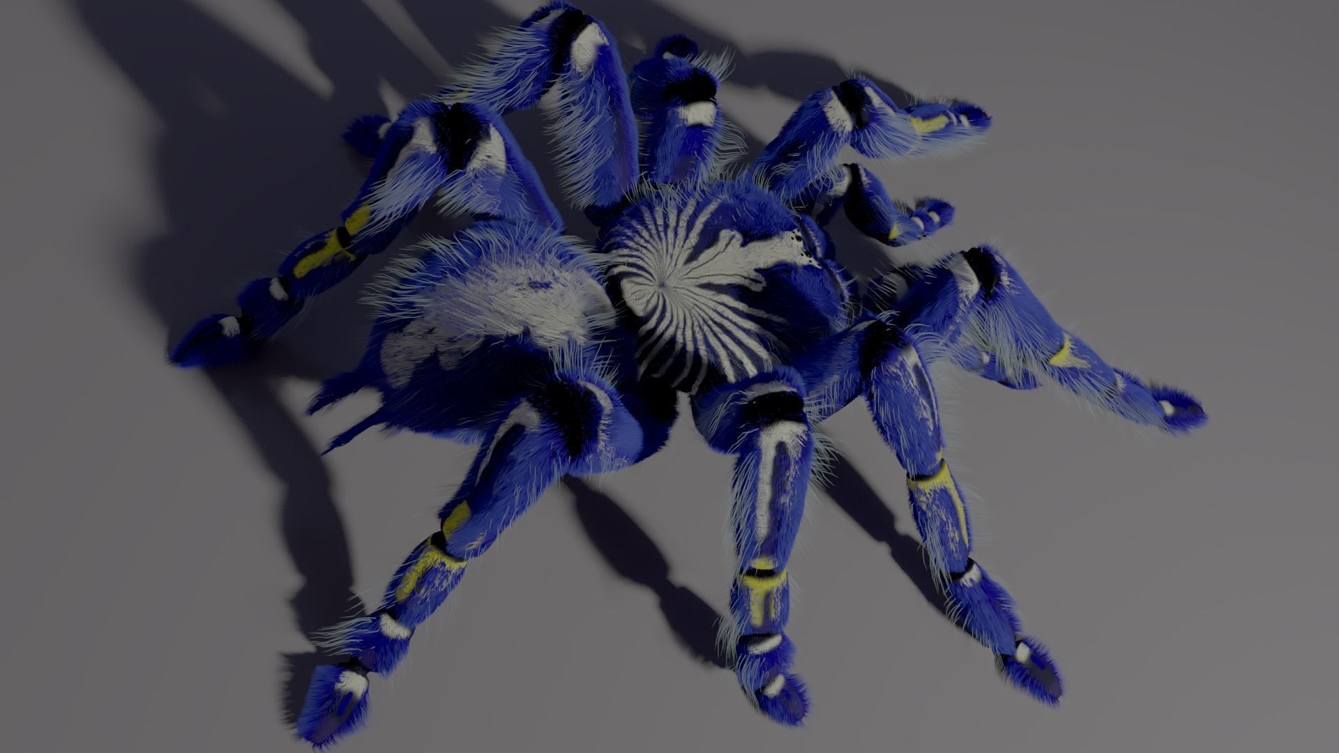 Freaky blue spider Low-poly 3D model_2