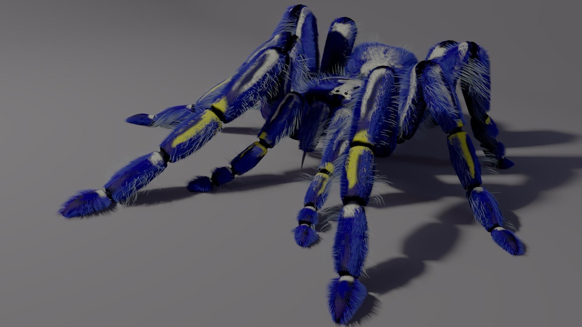 Freaky blue spider Low-poly 3D model_0