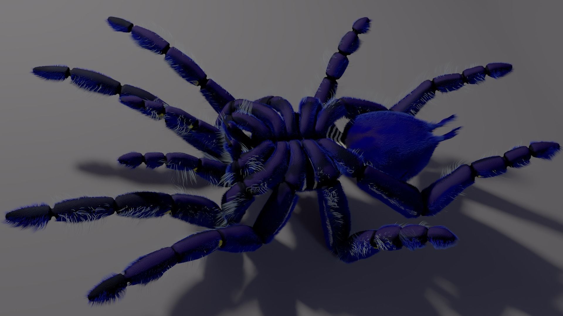 Freaky blue spider Low-poly 3D model_4