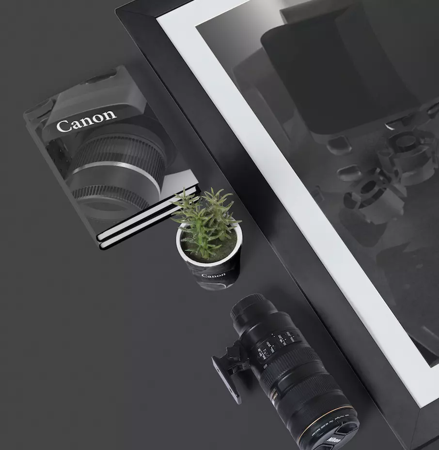 Canon Camera model 3D model