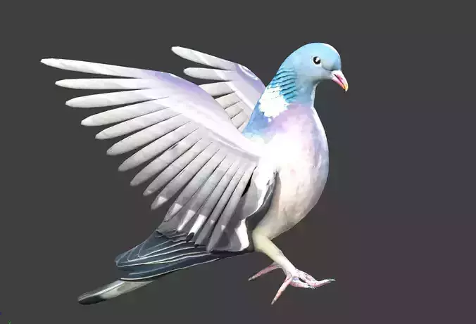 pigeon with wings spread