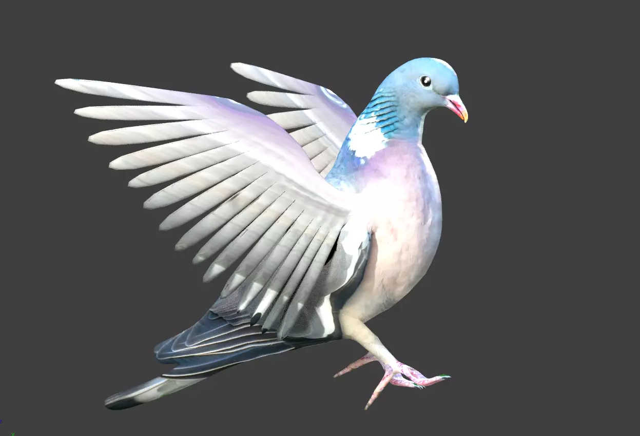 pigeon with wings spread 3D model