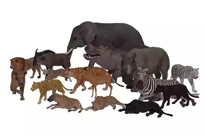 African Animal Pack Low-poly 3D model