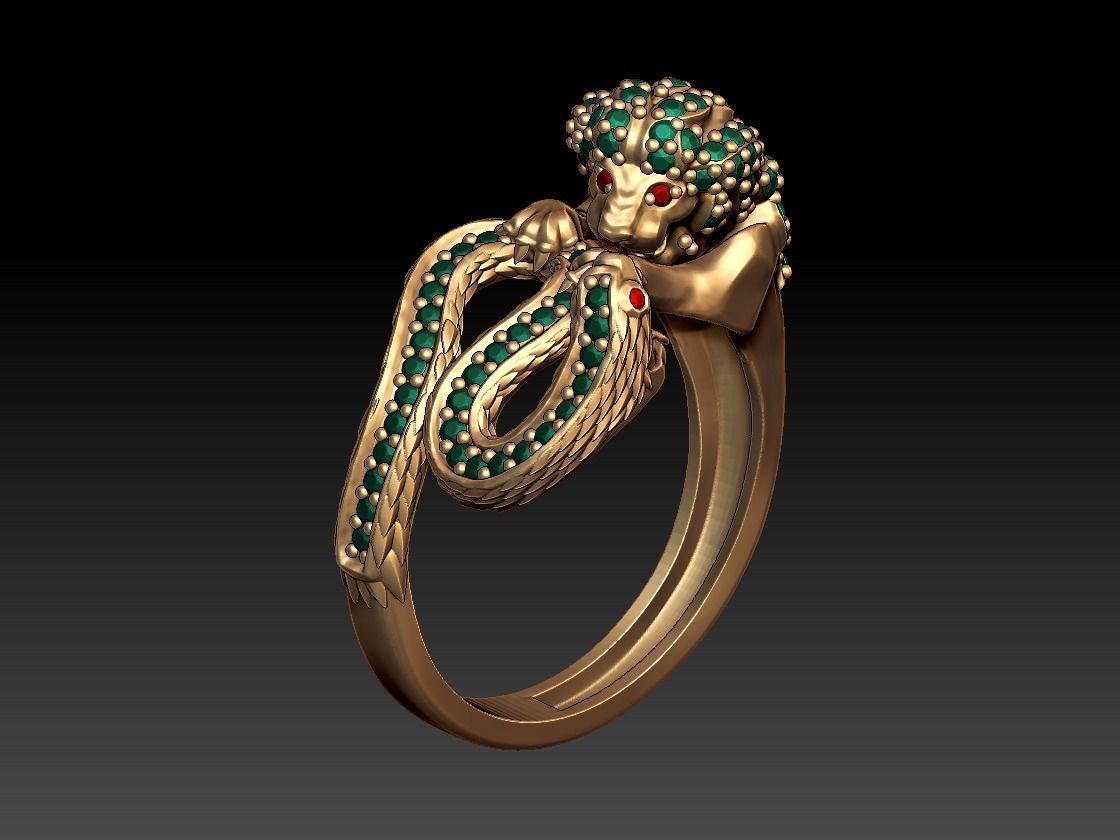 Lion VS Snake ring 3D print model_2