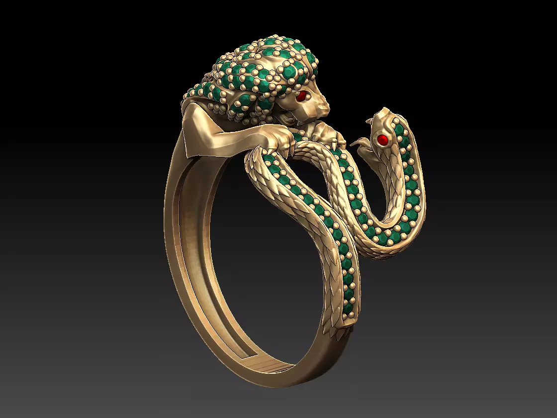 Lion VS Snake ring 3D print model_0