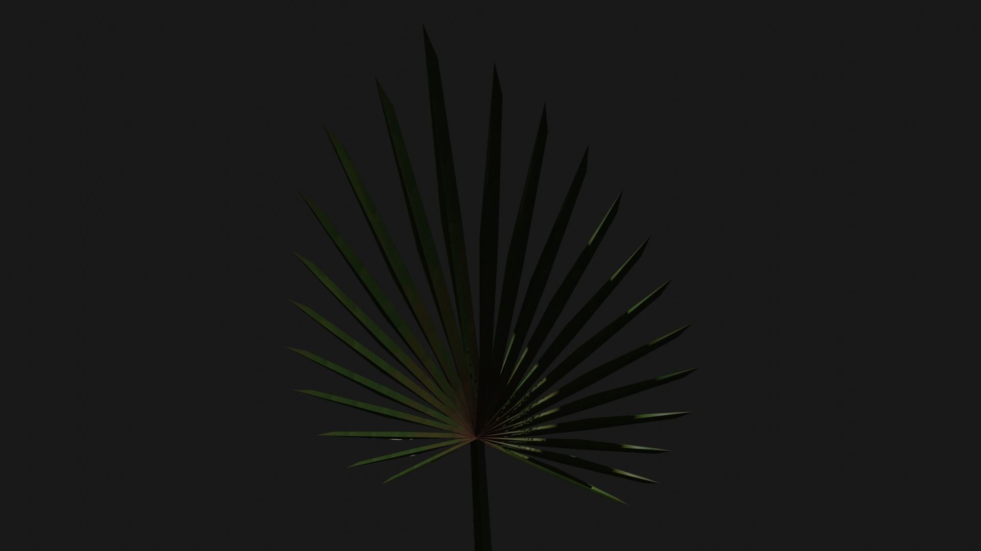 palm tree Free 3D model_7