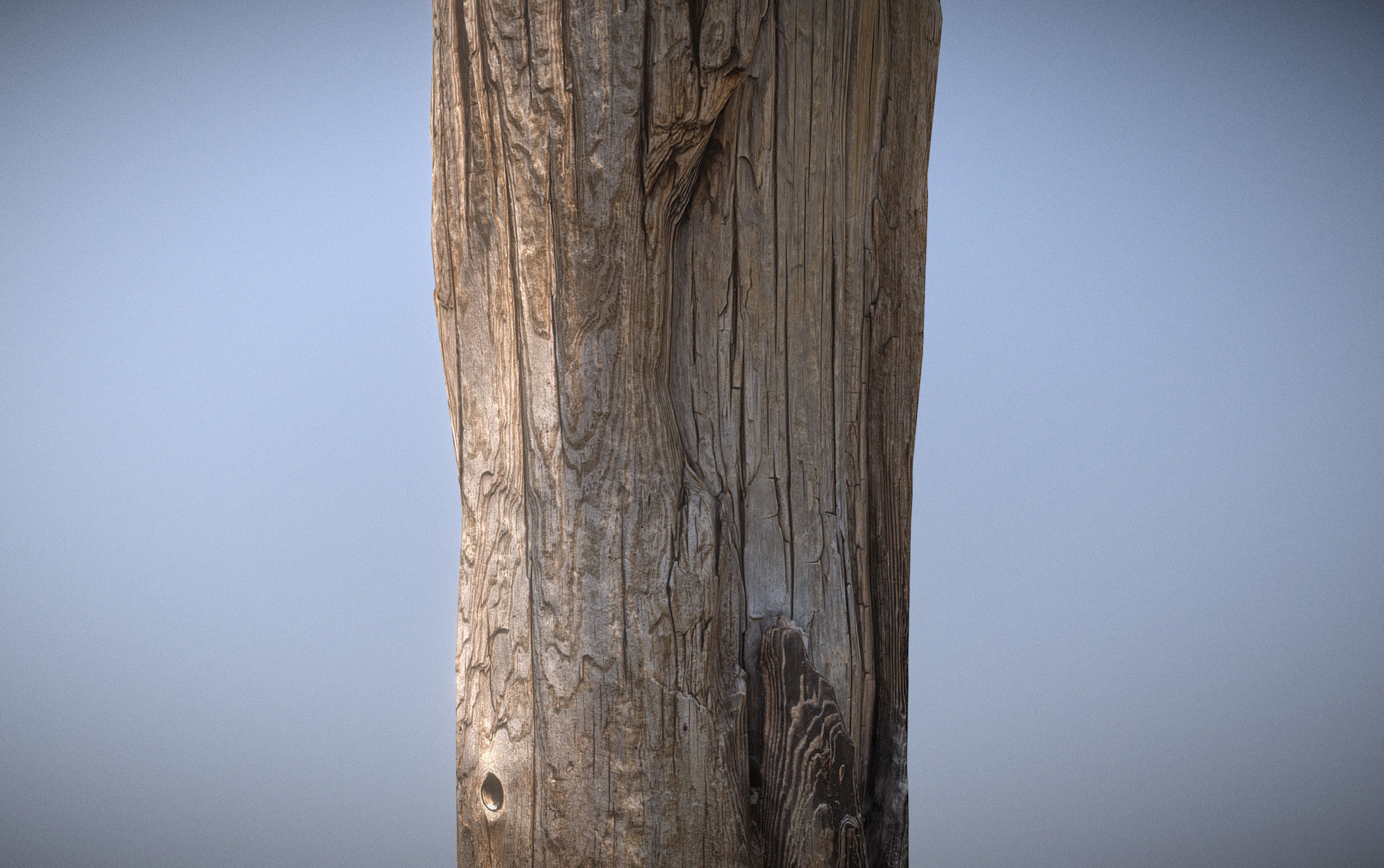 Wooden pole from a seaside Low-poly 3D model_9