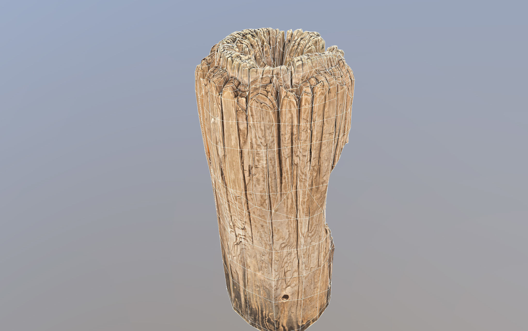 Wooden pole from a seaside Low-poly 3D model_22