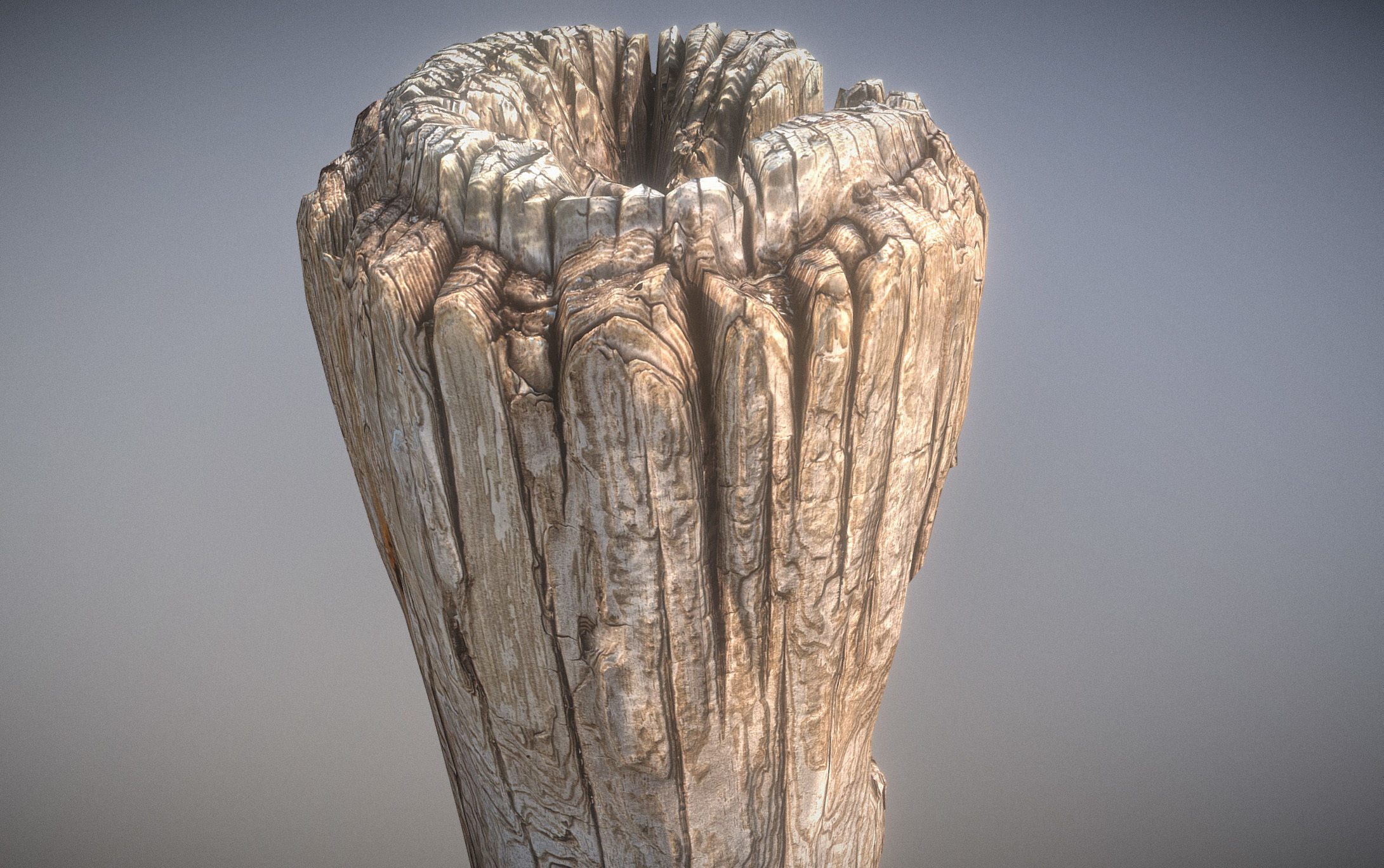 Wooden pole from a seaside Low-poly 3D model_17