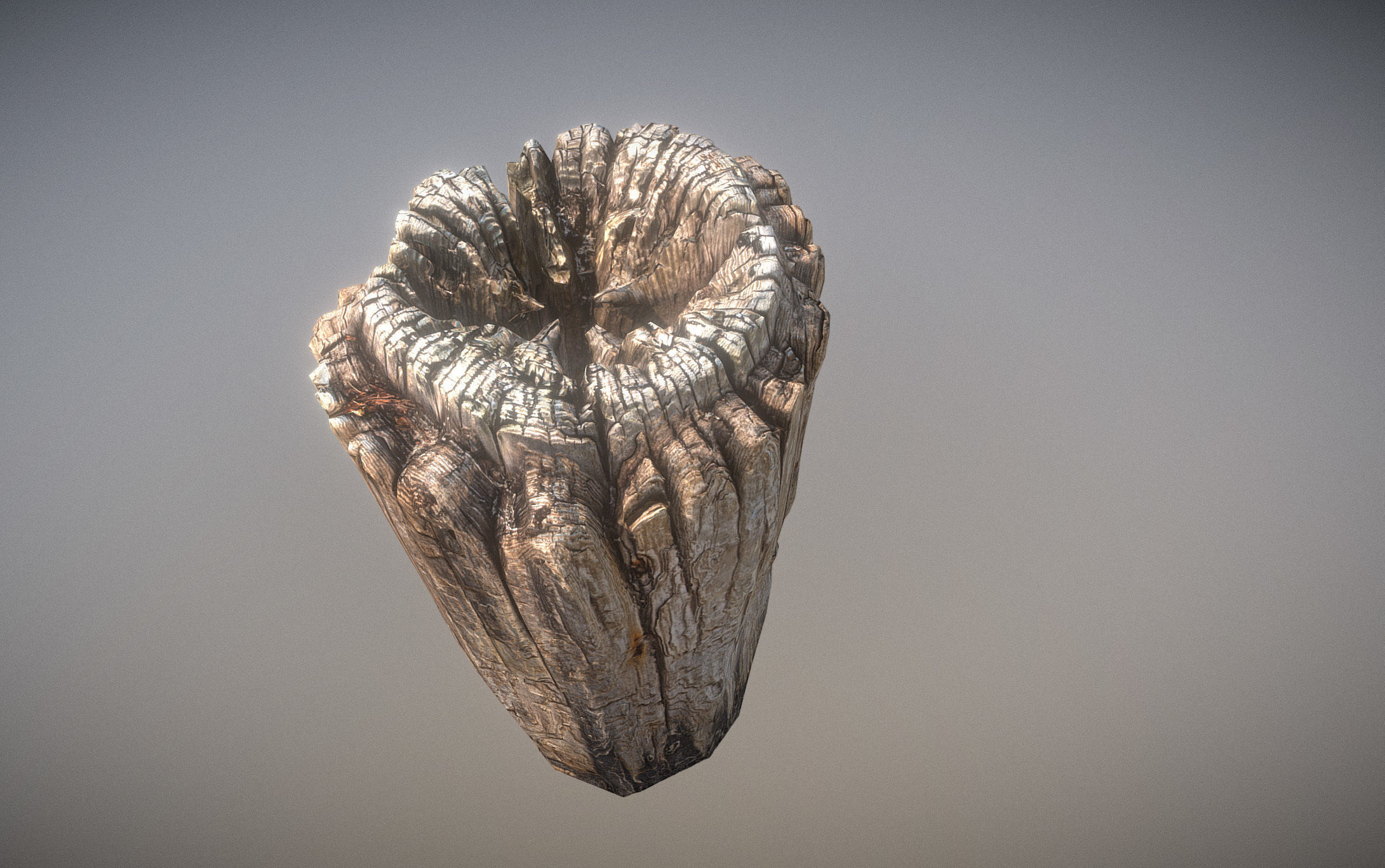 Wooden pole from a seaside Low-poly 3D model_16