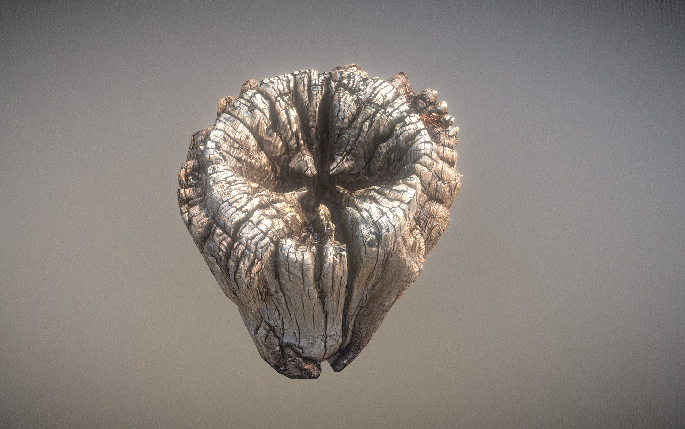 Wooden pole from a seaside Low-poly 3D model_7