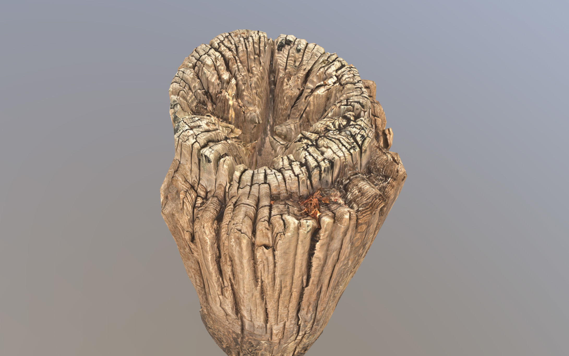 Wooden pole from a seaside Low-poly 3D model_26