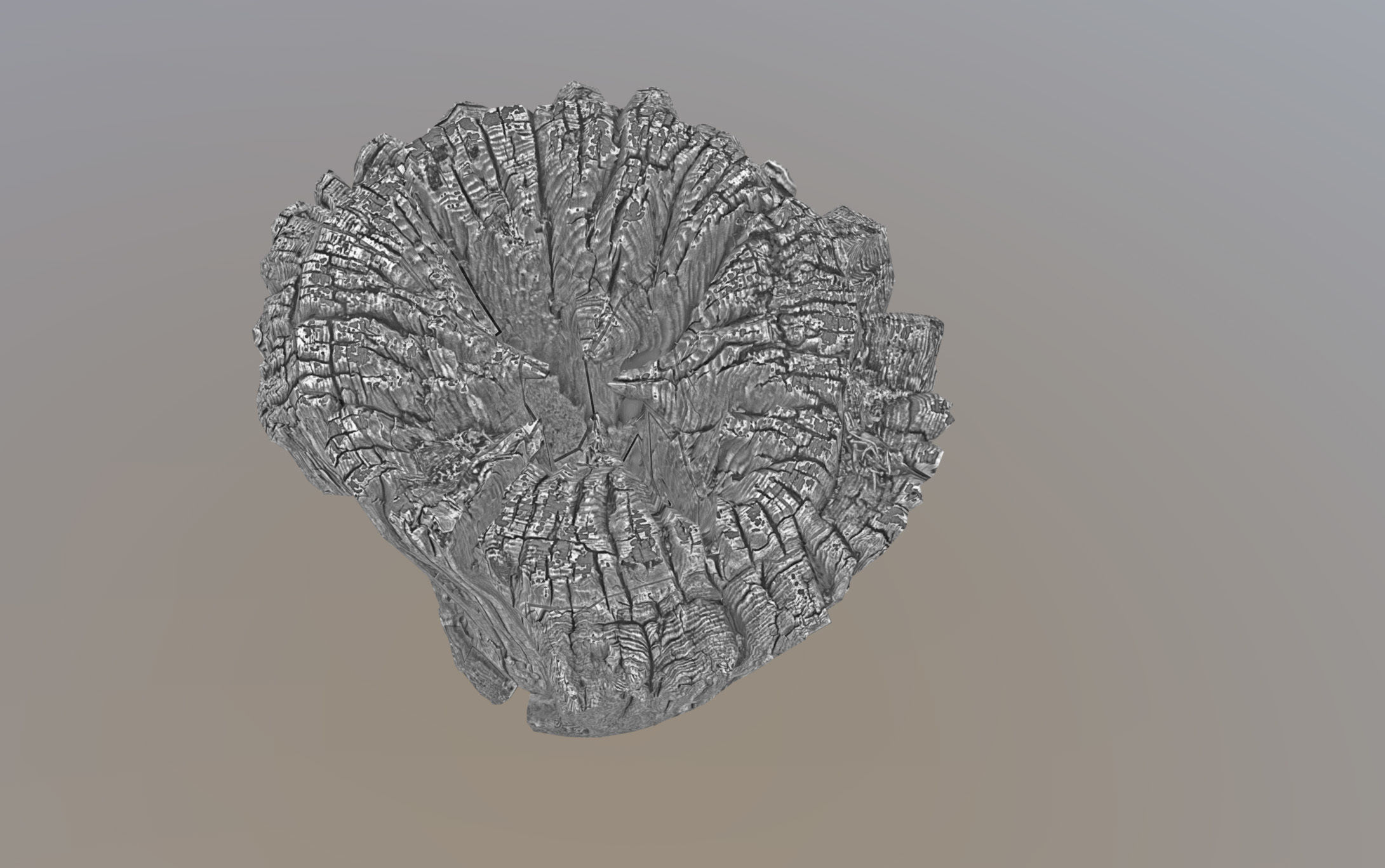 Wooden pole from a seaside Low-poly 3D model_40