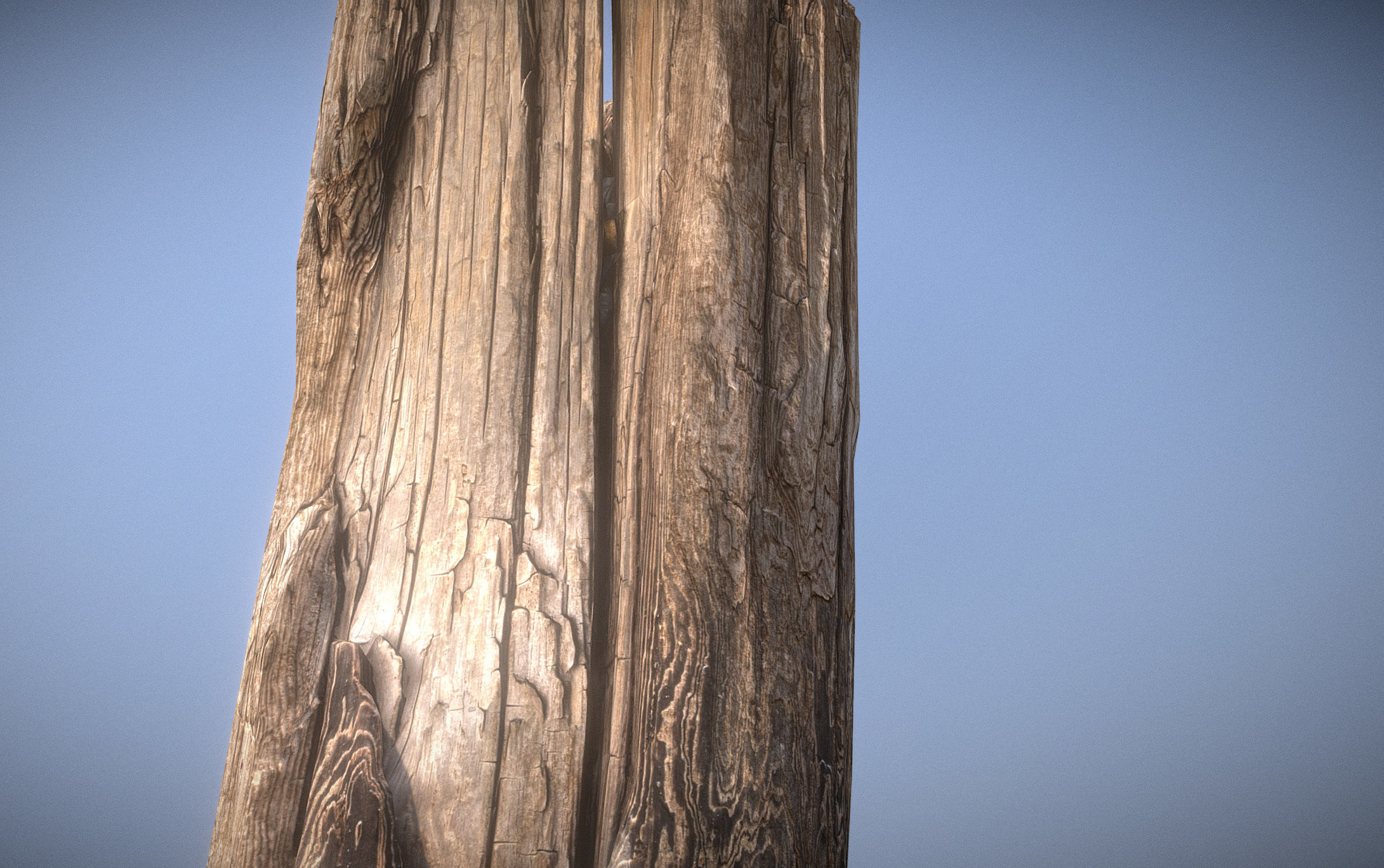 Wooden pole from a seaside Low-poly 3D model_15