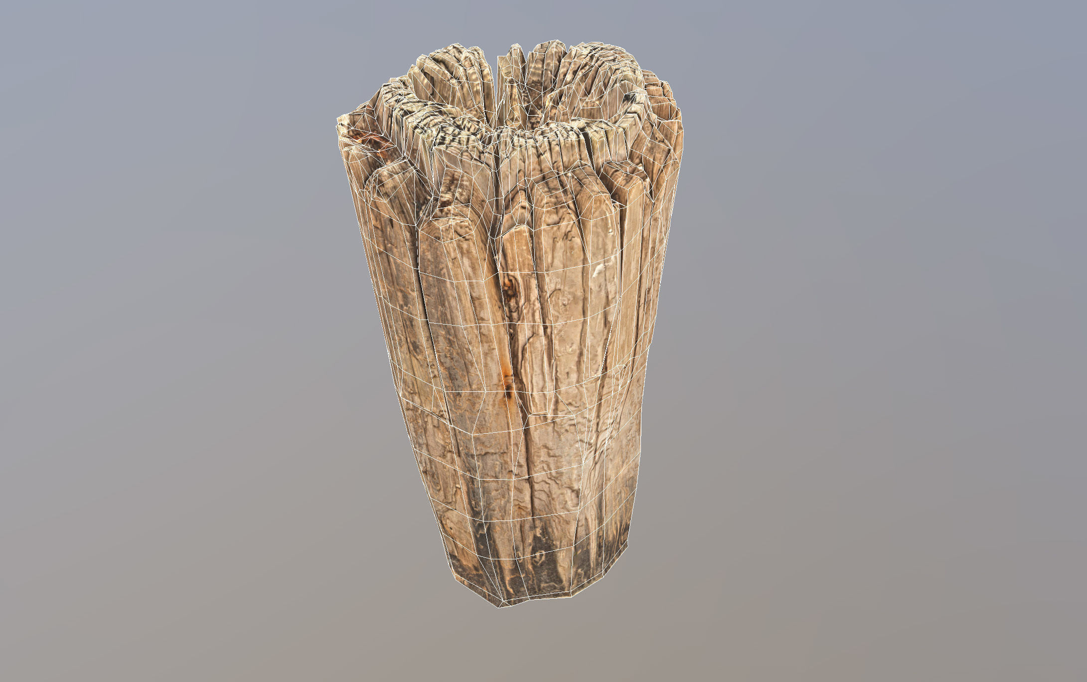 Wooden pole from a seaside Low-poly 3D model_21