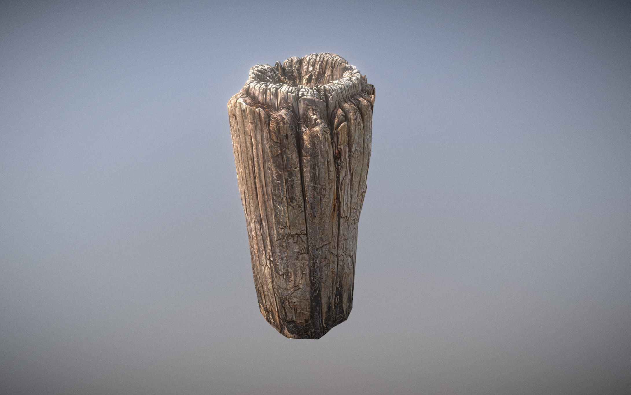 Wooden pole from a seaside Low-poly 3D model_6