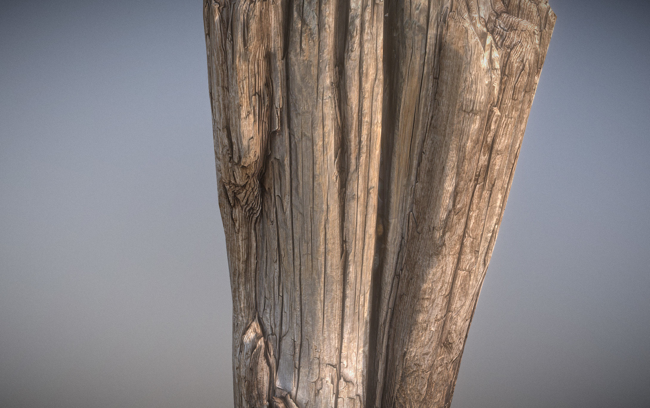 Wooden pole from a seaside Low-poly 3D model_18