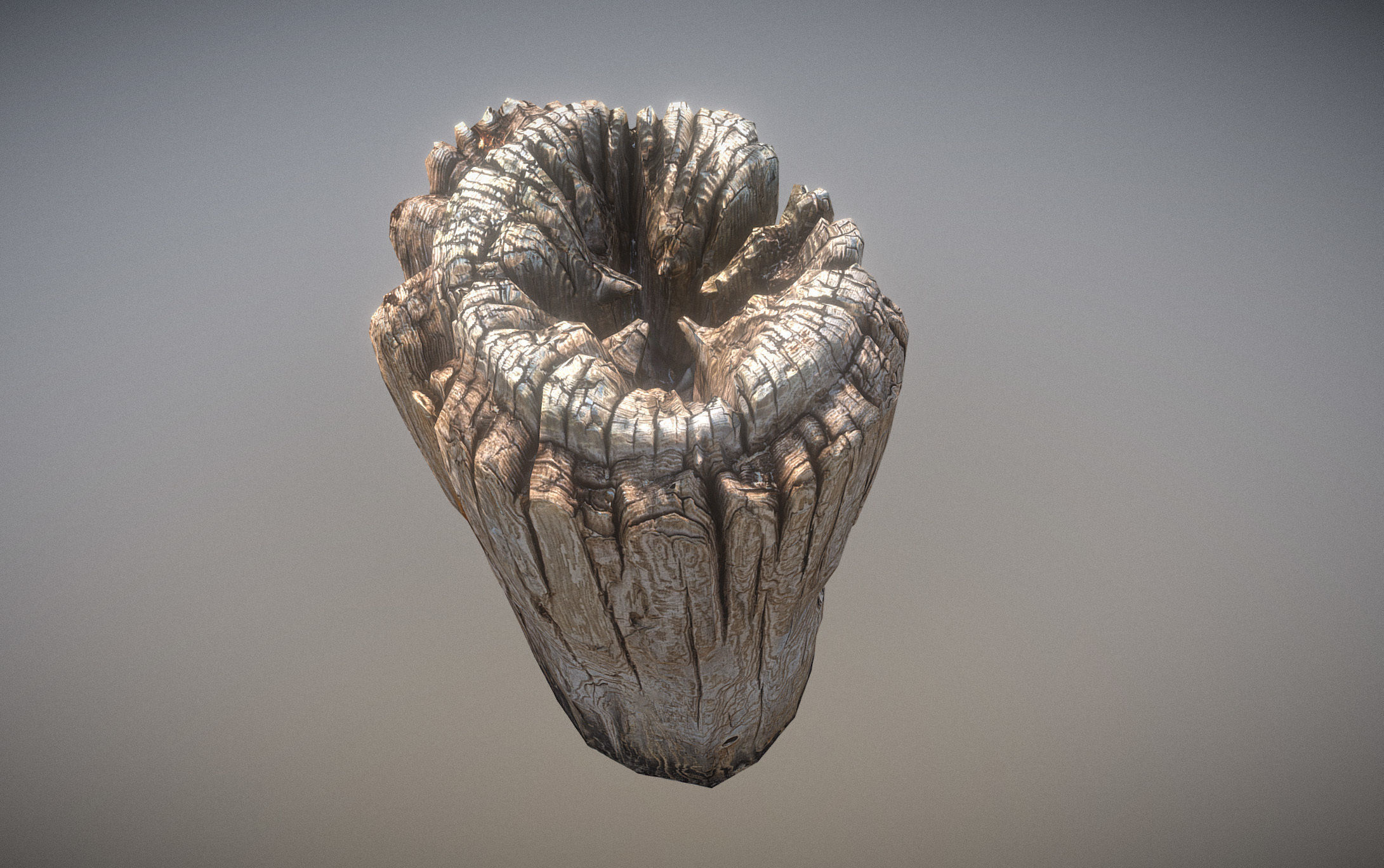 Wooden pole from a seaside Low-poly 3D model_19