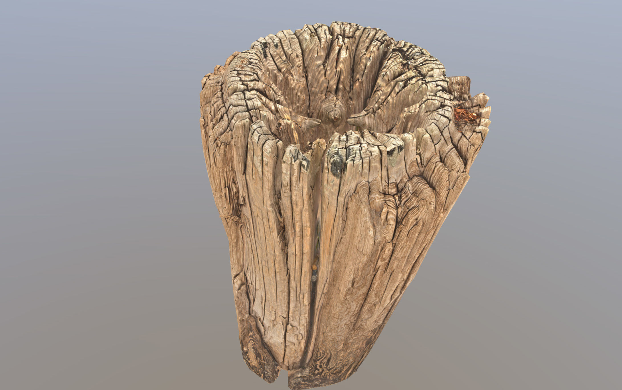 Wooden pole from a seaside Low-poly 3D model_25