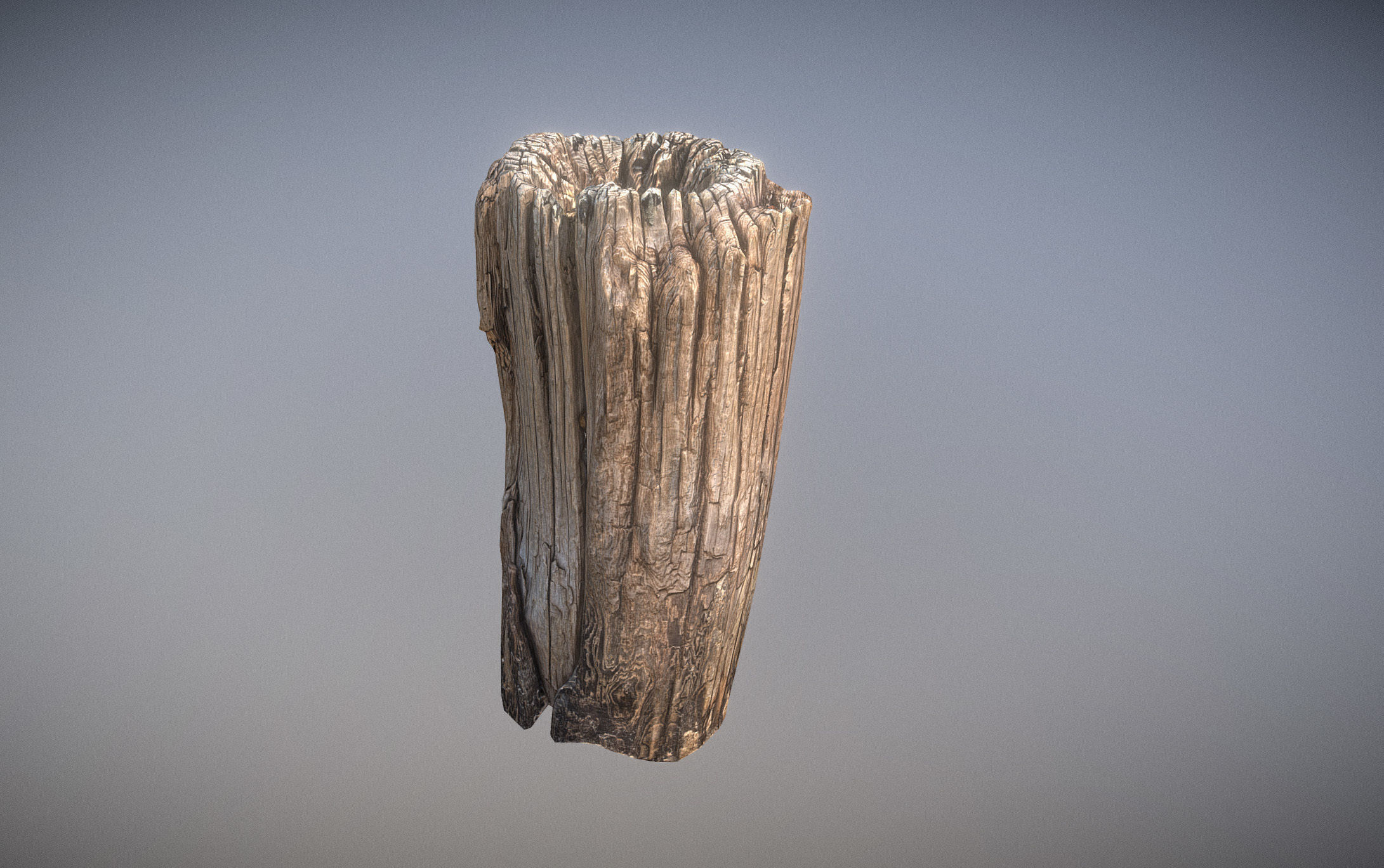 Wooden pole from a seaside Low-poly 3D model_8