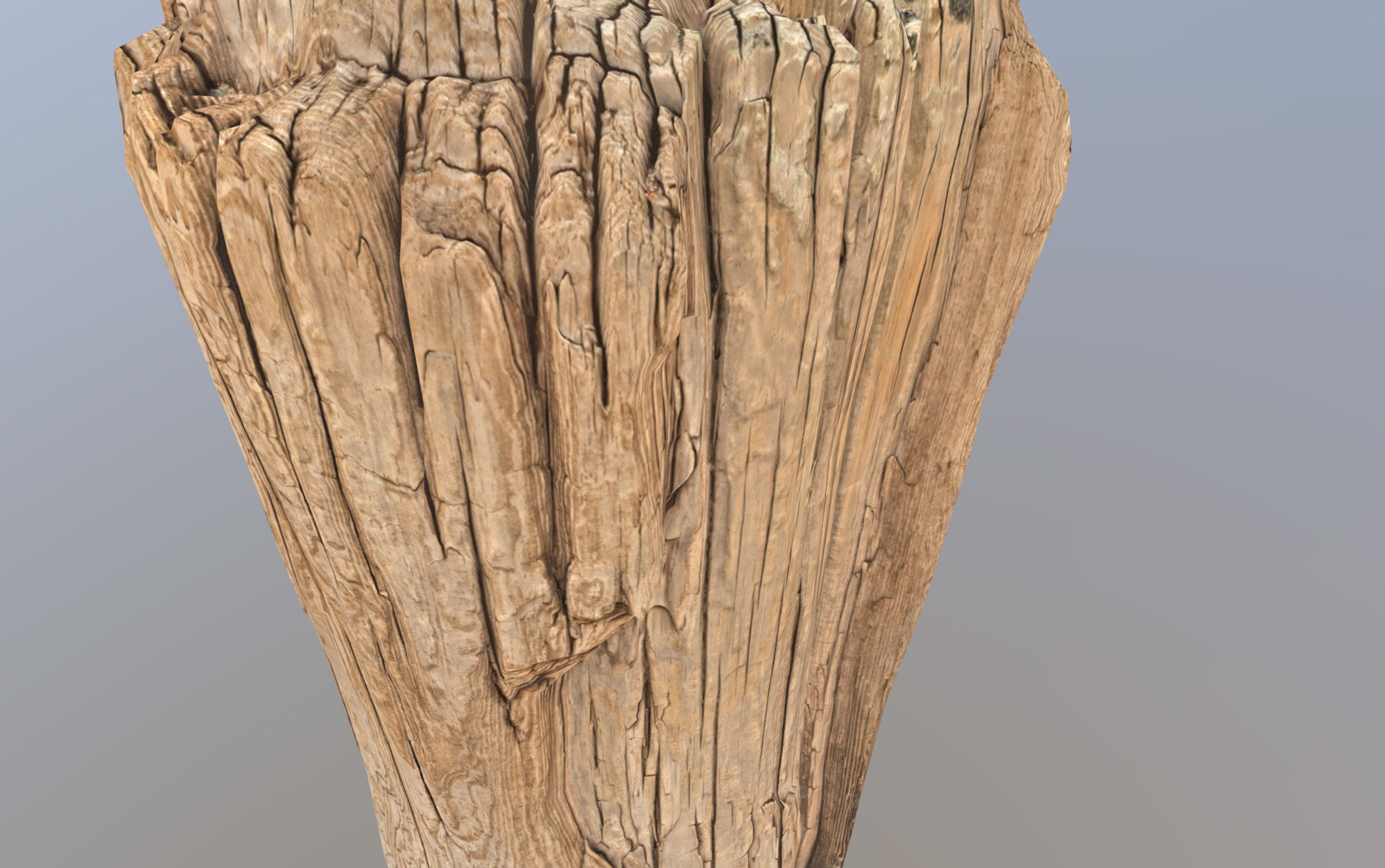 Wooden pole from a seaside Low-poly 3D model_23