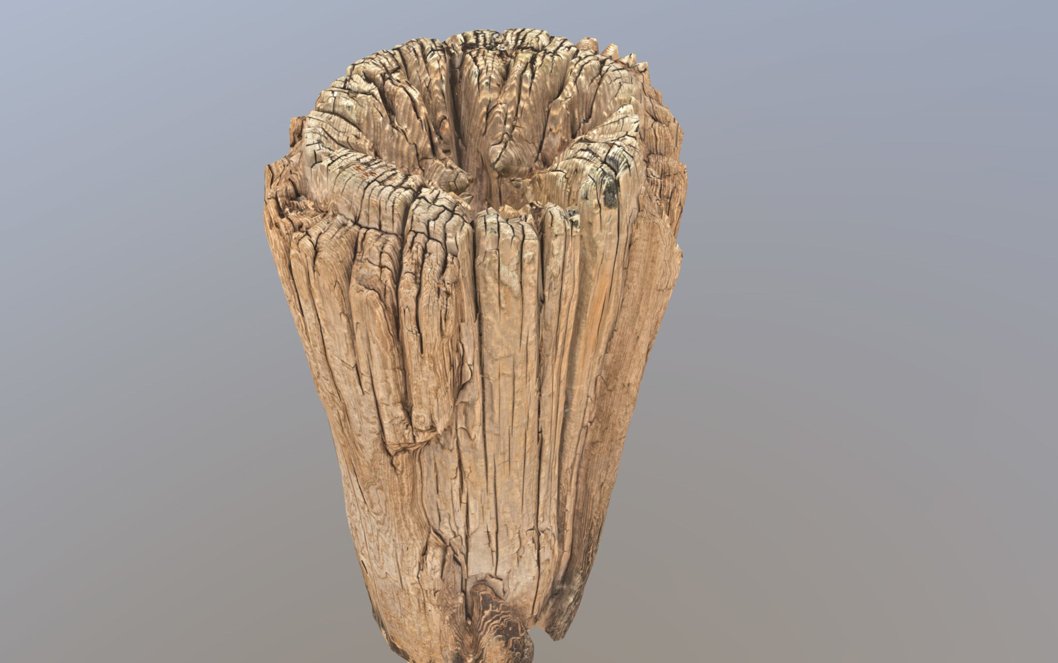 Wooden pole from a seaside Low-poly 3D model_24