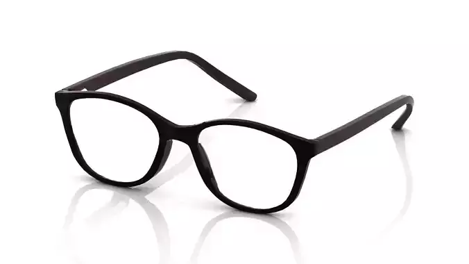 Eyeglasses for Men and Women 3D print model