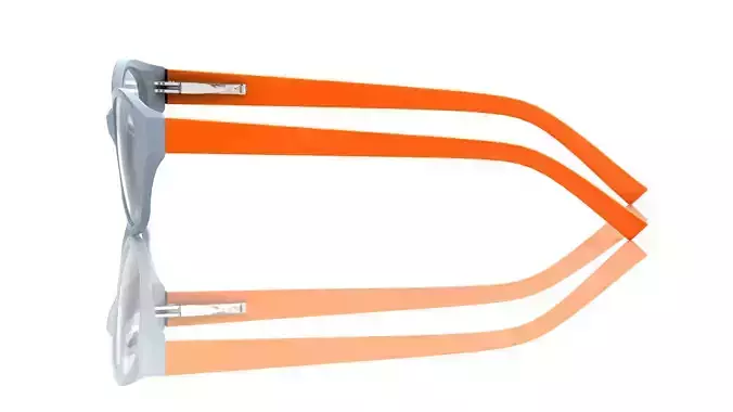 Eyeglasses for Men and Women