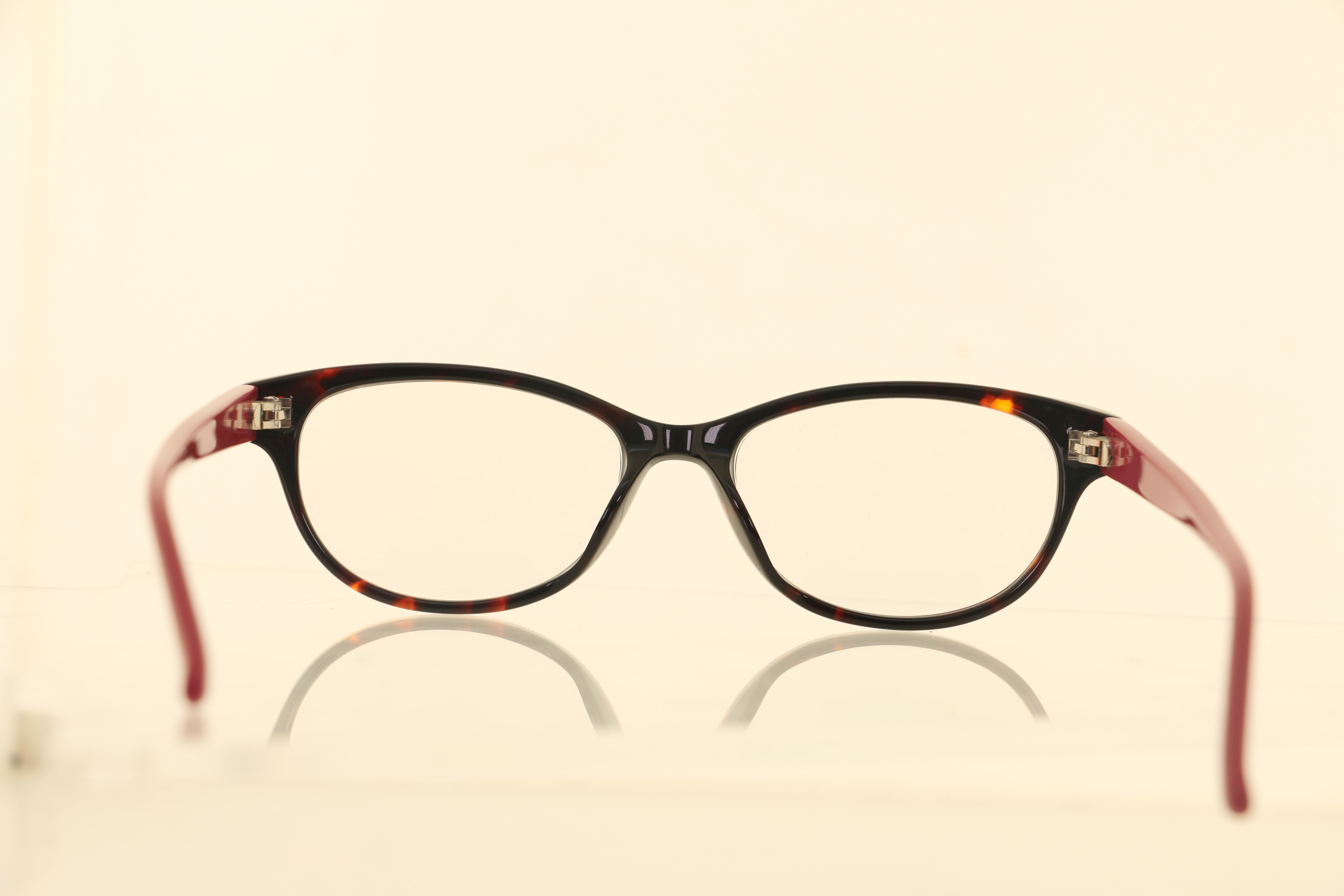 Eyeglasses for Men and Women 3D print model_12