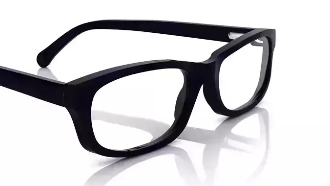 Eyeglasses for Men and Women 3D print model