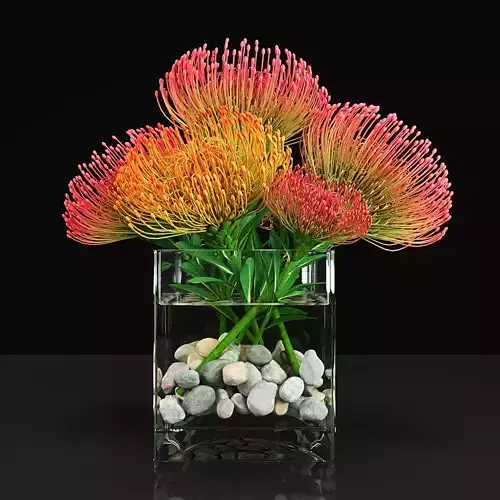 Plant 13 3D model
