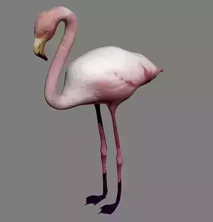 FLAM LOW POLY OBJ MAT CINEMA4D