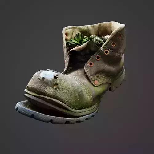 Old Boot With Plants Inside 3D model