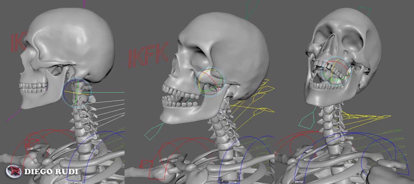 Skeleton for animation Maya Rigged Low-poly 3D model_0