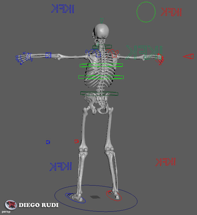 Skeleton for animation Maya Rigged Low-poly 3D model_3