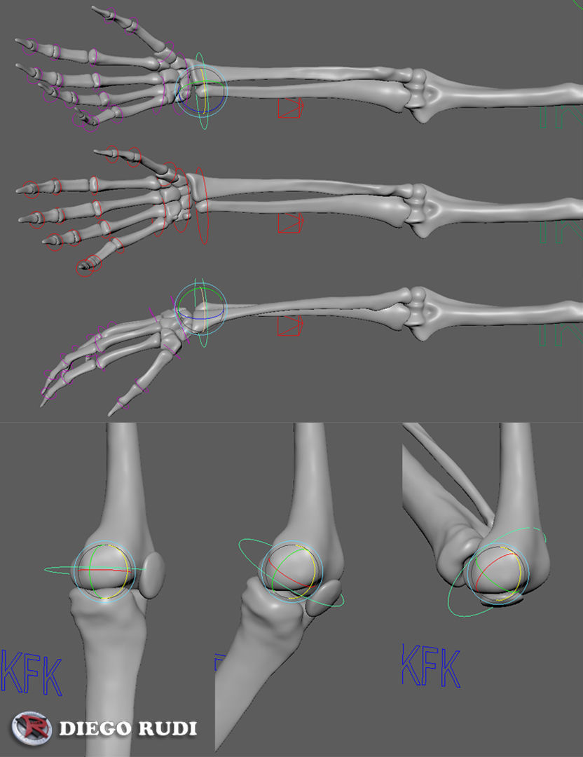 Skeleton for animation Maya Rigged Low-poly 3D model_4