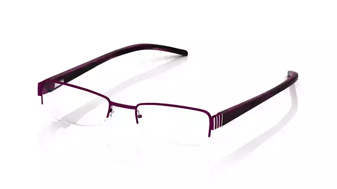 Eyeglasses for Men and Women 3D print model