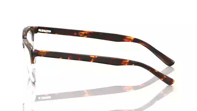 Eyeglasses for Men and Women