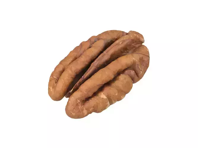 Photorealistic Pecan Nut 3D Scan 3D model