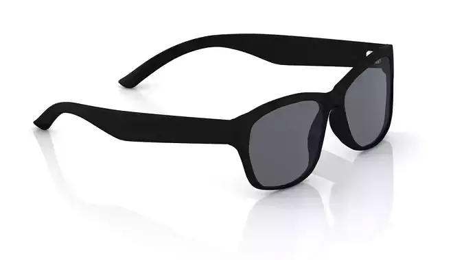 Eyeglasses for Men and Women 3D print model