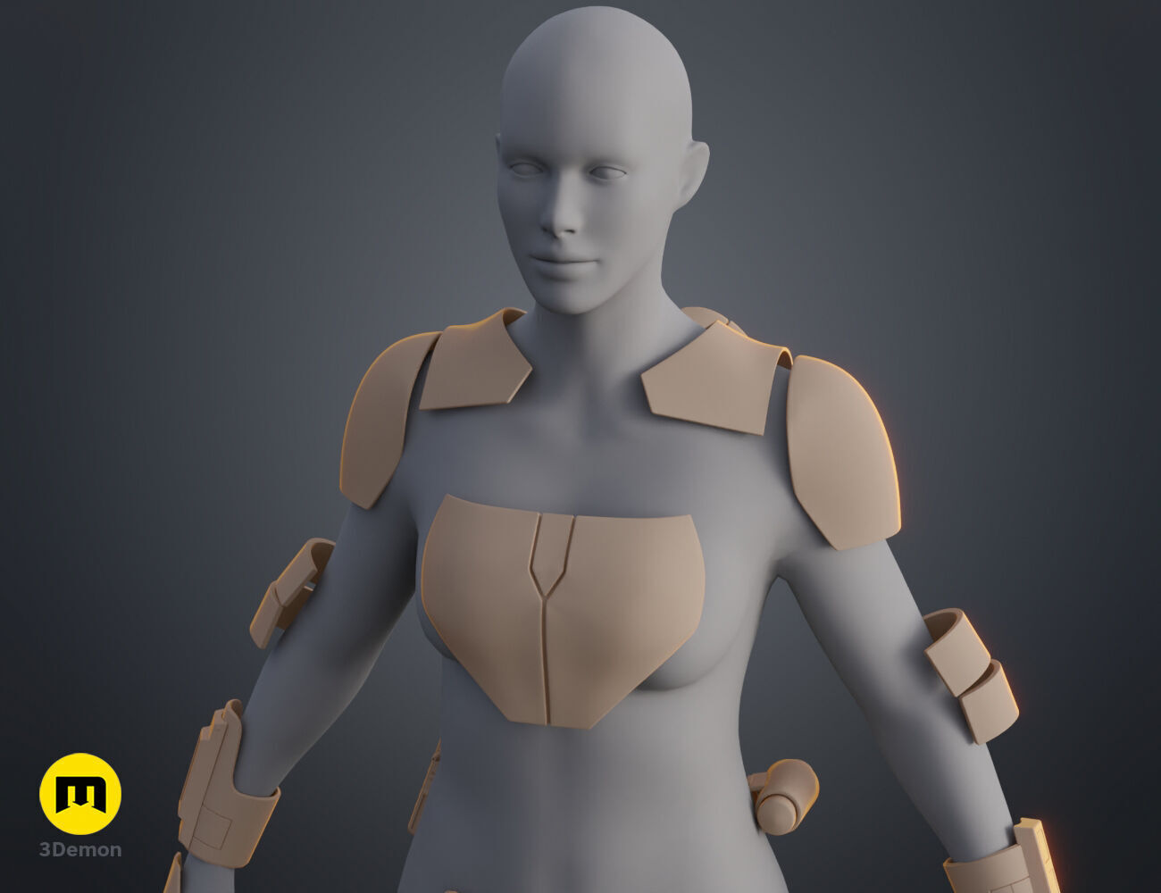 Sabine Wren armor 3D print model_22