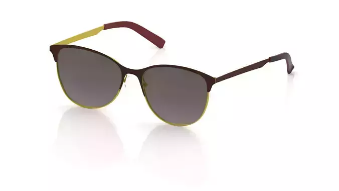 Eyeglasses for Men and Women 3D print model