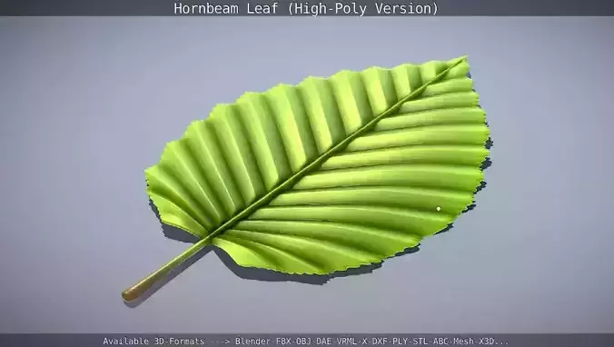 Hornbeam Leaf  High-Poly-Version
