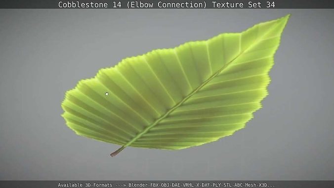 Hornbeam Leaf  Low-Poly Version Low-poly 3D model