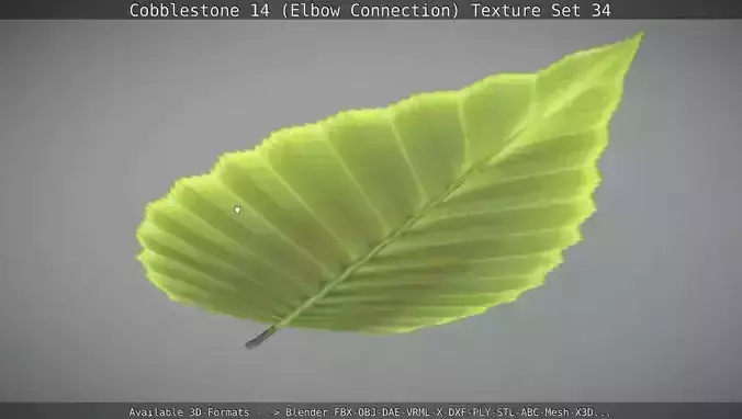Hornbeam Leaf  Low-Poly Version Low-poly 3D model