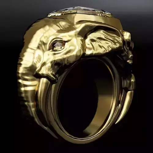 ring lion and elephant 