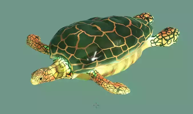 turtle