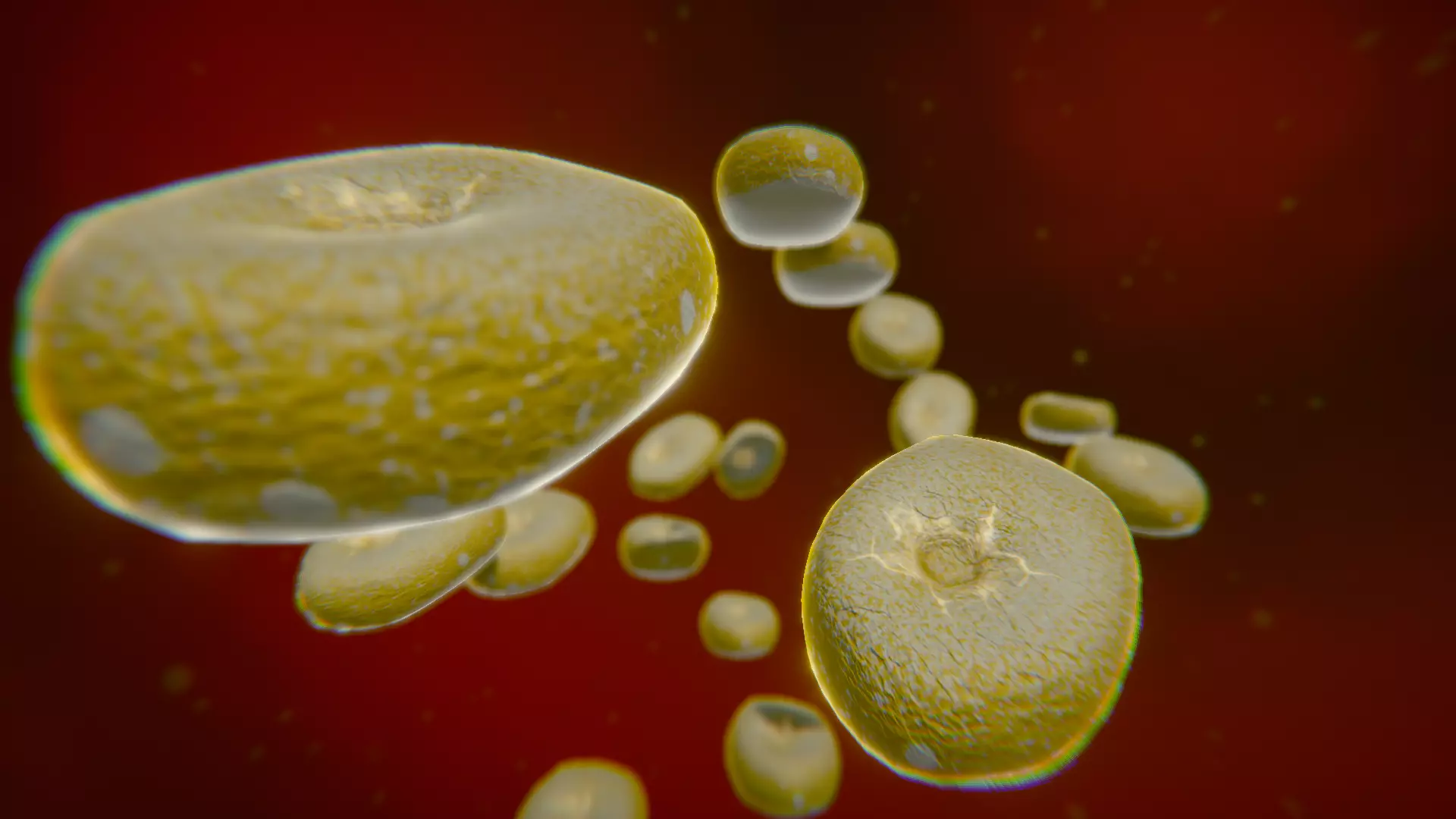 Microorganisms Pack Low-poly 3D model