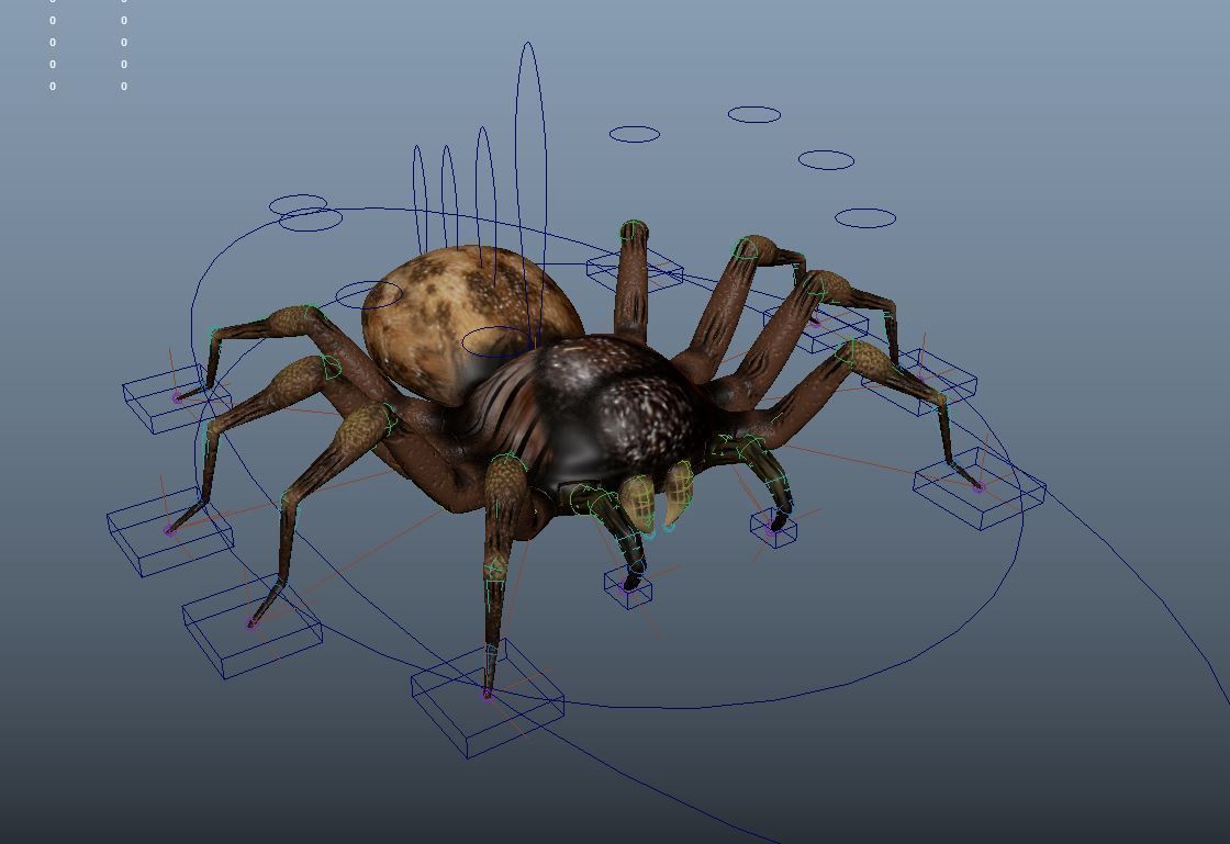 Spider Rigged Low-poly 3D model_1